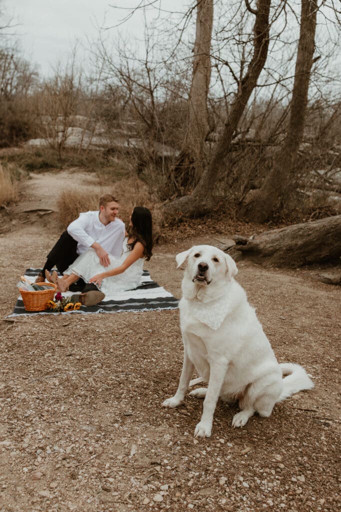 A couple sitting on a picnic blanket, with their dog in the foreground at McKinney Falls State Park.