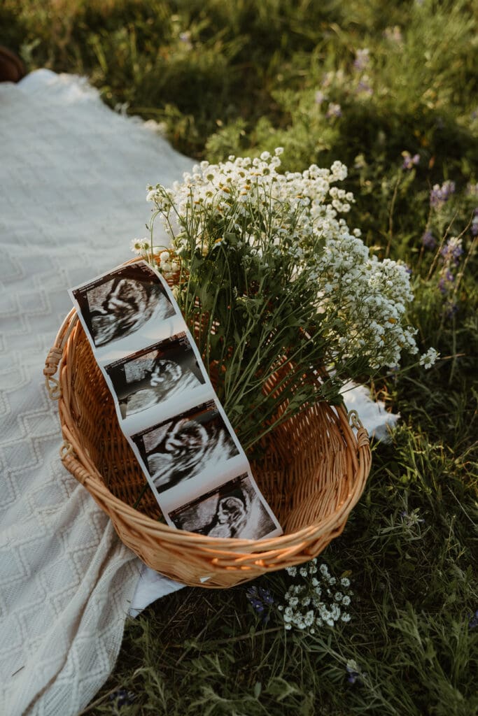 Babys breath and sonogram detail photos during golden hour photo session at Brushy Creek Lake Park in Cedar Park.
