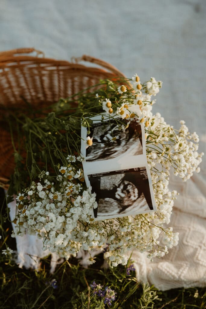 Sonogram and flower details during photo session in Cedar Park, Texas.