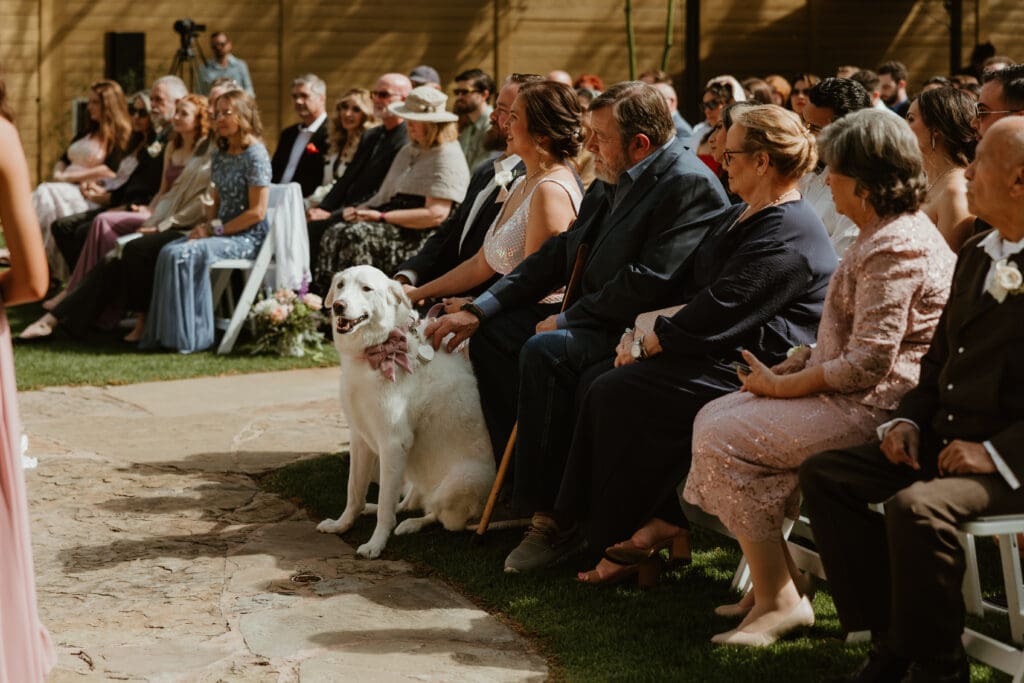 Wedding guests embracing wedding ceremony rituals at The Hummingbird House garden venue near Austin TX